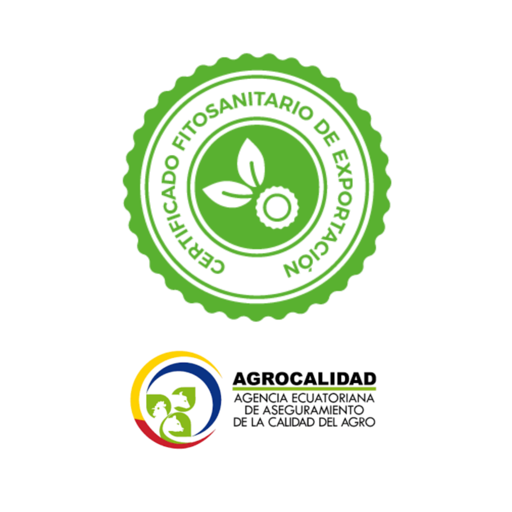 diseño sin título (1)