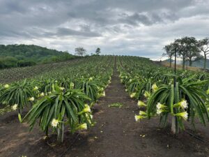 whatsapp image 2026 03 13 at 3.26.11 pm (1)