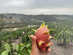 whatsapp image 2026 03 13 at 3.26.11 pm