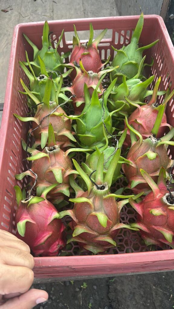 whatsapp image 2026 03 13 at 3.26.12 pm