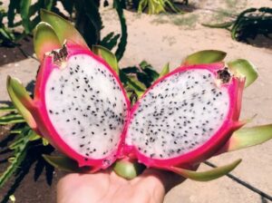 whatsapp image 2026 03 17 at 9.23.46 am