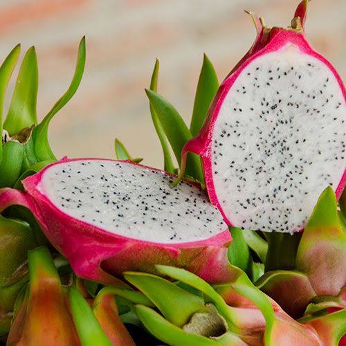 whatsapp image 2026 03 17 at 9.23.47 am